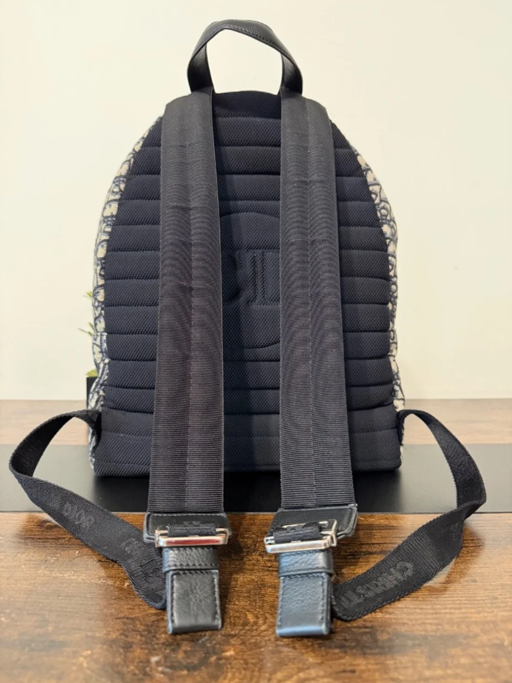 Dior Rider Backpack in Blue Oblique Canvas (MSRP $2900)